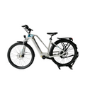 Flyer Gotour 6 Bosch Active Line Plus Middenmotor Mixed Wit 49cm
